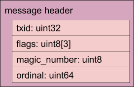 Diagram of wire format message header
