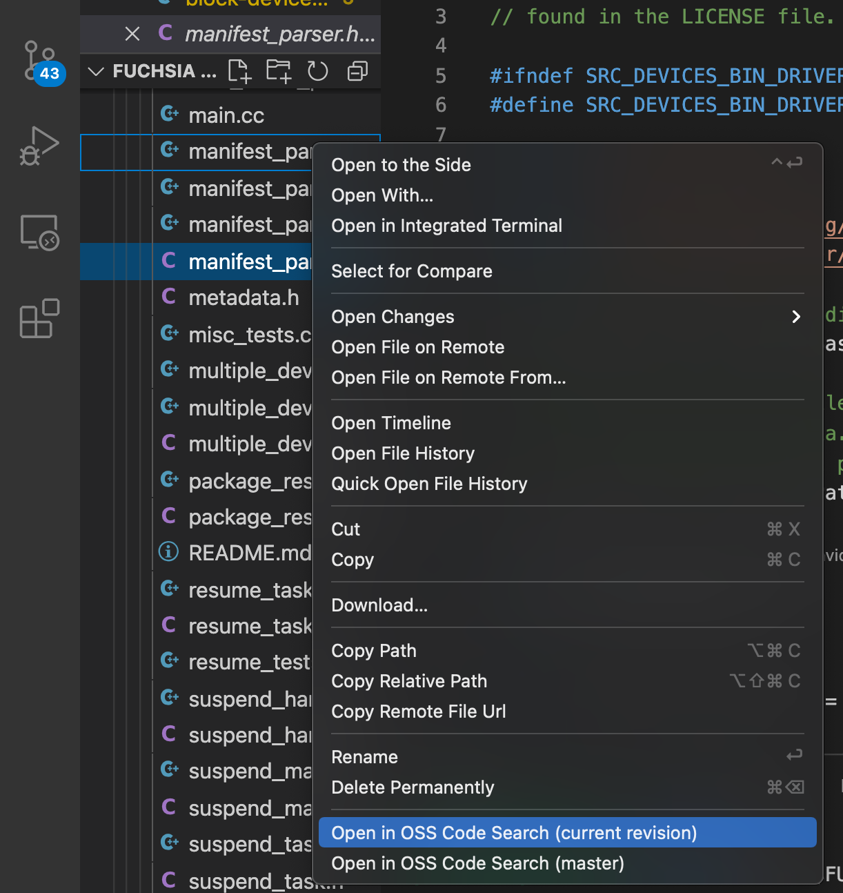 此图显示了用于在 OSS 代码搜索中打开文件的 VS Code 菜单。