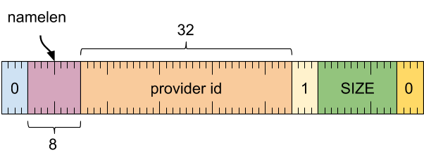 Diagram showing format of a provider info metadata record.